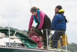 oystercatcher 3245c whyw16 sun 800 1674w